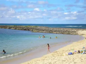 The Turtle Bay Signature