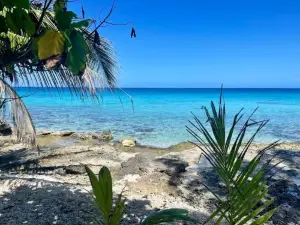 Rangiroa Tiny House