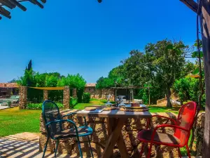 Domaine Pozzo di Mastri