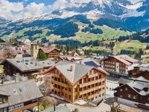 Apart Hotel Adelboden am Dorfplatz