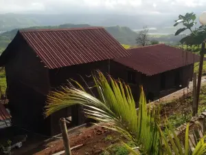 Dongarmatha Kaas