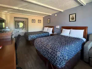 에코노 로지 갤럭스