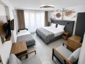 D'Premium Edirne