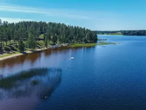 Joutiainen i 55