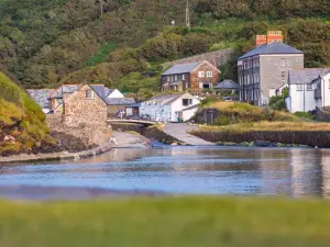 보스캐슬 하우스