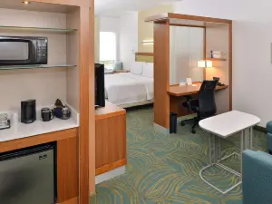 SpringHill Suites Raleigh Cary