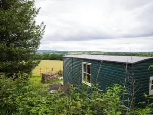 West Wood Yurts Ltd