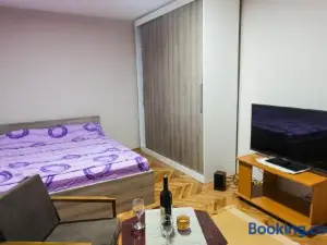 Apartman “Reka Gradac”