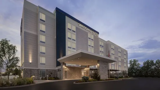 SpringHill Suites East Rutherford Meadowlands/Carlstadt