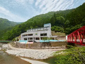 森林上北