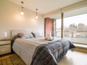 Nuevo y hermoso depto en Pucón.