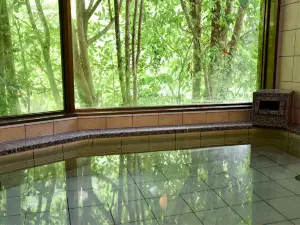 龍神温泉 旅館阪井