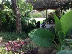Lynns Guest House