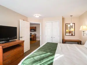 Suburban Studios Waterloo