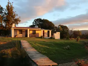 Fraaigelegen Farm - Home of Adhara Evoo