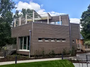 Péitche Lauer