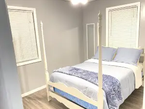 Cozy House on Collage Street