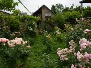 Milorava's Guest House & Wine Cellar