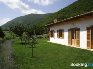 Agriturismo la Cascina di Opaco