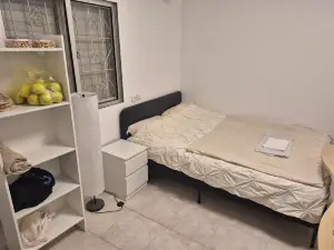 The Lemon House