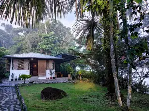 Banana Lodge