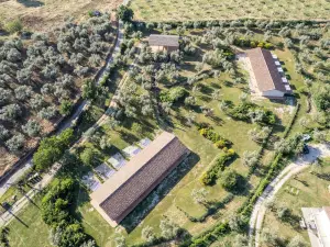 Azienda Agricola Il Bagolaro