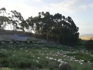 Treyntjes Rivier Cottages
