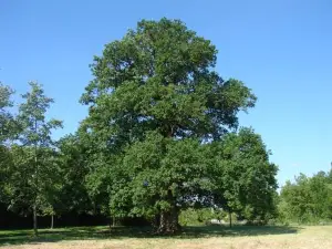115m2 de Confort, Clim, Calme, Parc à 100 m