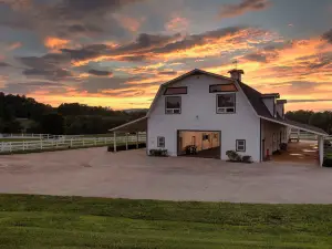 The Horse Shoe Farm