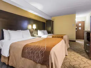 컴포트 인/여관