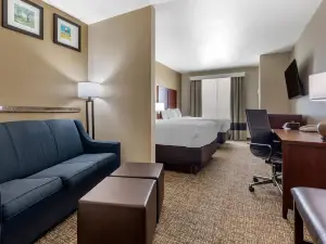 Comfort Suites Plano - Dallas North