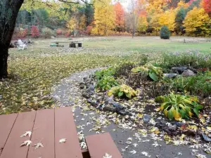 Bear & Butterfly Bed and Breakfast