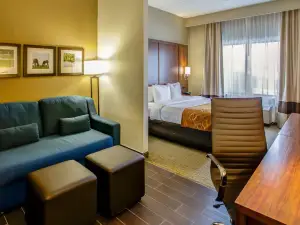 Comfort Suites Georgetown