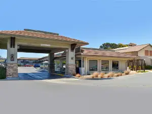 Larkspur Mill Valley