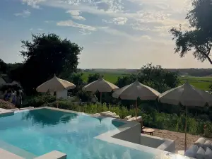 キンタ アマラ