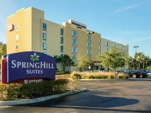 坦帕北/坦帕棕櫚萬豪SpringHill飯店