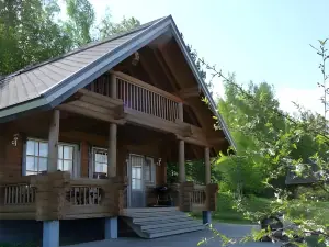 Hotel Hanhi