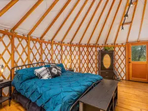 Unique authentic yurt stay near Yosemite National Park