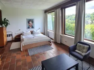 하우스 암 발드