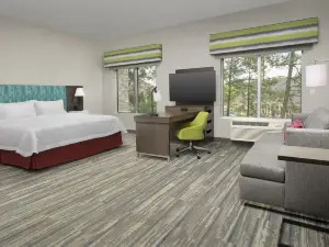 Hampton Inn and Suites by Hilton Lexington Columbia