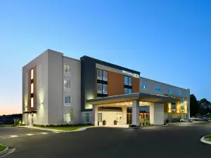 SpringHill Suites Dothan