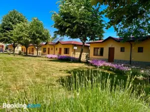 Complex Terazini