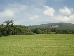 Jurastei14
