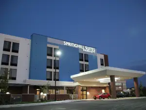 巴爾的摩白沼澤中河SpringHill Suites飯店