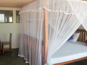 Asiri Yoga Retreat