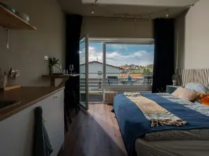 Modernes Design-apartment mit Balkon in Bermatingen