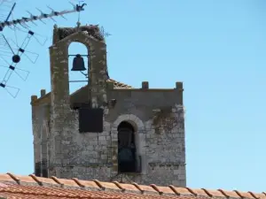 La Moreria, Alojamiento turístico