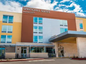 紐瓦克弗裡蒙特SpringHill Suites飯店
