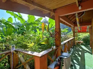 Berkey's Jungle Paradise