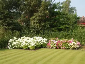 B&B Bloemenweelde